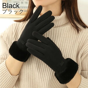  O[u fB[X N  nhPA X}z X}z fB[X 킢  g AEghA h h K r ێ