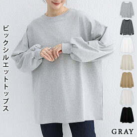 トップス レディース 秋 冬 秋冬 黒 白 カットソー 長袖トップス 長袖 無地 ボーダー ゆったり Tシャツ ホワイト ブラック ベージュ ブラウン グレー きれいめ オーバーサイズ 体型カバー カジュアル