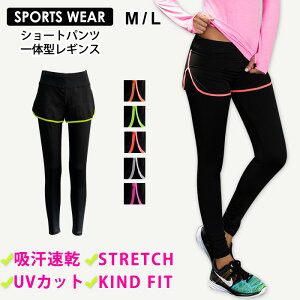 MX fB[X V[gpc X|[cEFA KEFA X|[c EH[LO K  ubN  IW sN Xgb` O[ _X W jO }\ tB