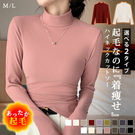 【1,036円！11/14までクーポンで】 カットソー インナー tシャツ トップス 下着 肌着 レディース 長袖 秋 冬 秋冬 裏起毛 暖かい ハイネック 長袖カットソー 伸縮性 防寒 あったか 長袖トップス きれいめ 大人 カジュアル オフィス 20代 30代 40代 50代 OL ママ
