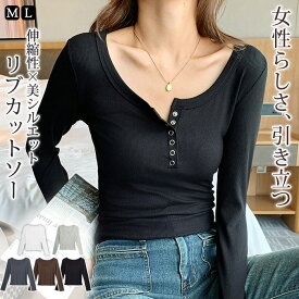 【1,736円！11/14までクーポンで】 カットソー レディース 秋 冬 秋冬 黒 白 Tシャツ 長袖 Vネック 無地 トップス インナー きれいめ シンプル 大人 ブラック ホワイト グレーネイビー ストレッチ 高身長 低身長 通勤 通学 カジュアル OL ママ 母 女性 20代 30代 40代