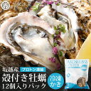 坂越産 冷凍 殻付き 牡蠣 12個入りパック【12個 / 24個 / 36個】お取り寄せ 送料無料 かき 冷凍 生食用 牡蛎 牡蠣 カキ 冷凍牡蠣 冷凍カキ 冷凍かき 生かき 生がき 生カキ 生ガキ 生牡蠣 カキフライ 生食 鍋 プロトン凍結 坂越 坂越かき 光栄水産