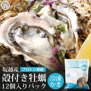 zY Ⓚ kt y 12pbNy12 / 24 / 36z   Ⓚ Hp a y JL Ⓚy ⓀJL Ⓚ   JL KL y JLt