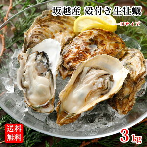 殻付き 牡蠣 お取り寄せの人気商品 通販 価格比較 価格 Com