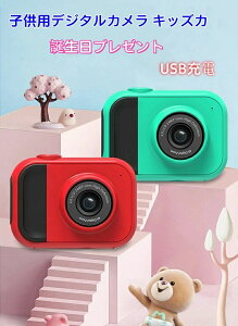 qpfW^J LbYJ 𑜓x6016 x 4000 rfIJ vC[ Xs[J[ yĐ USB[d av[g32GB J[ht 2C`IPS 䂤pPbg 