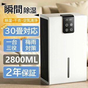 除湿機 小型 フィルター付き 衣類乾燥除湿機2600ML 強力 湿気取り 静音 空気清浄機 LCDディスプレー 省エネ 睡眠モード 7色ライト フィルター付き 二重吹き出し口 ?水自動停止 湿気&梅雨対策 消