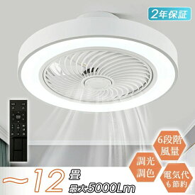 シーリングファン シーリングファンライト 軽量 おしゃれ led シーリングライト dcモーター 8畳 10畳 12畳 調光調色 風量調節 高輝度 省エネ 節電 リモコン付き 常夜灯 ファン付き照明 空気循環 照明器具 天井照明 扇風機付き照明 リビング 寝室 部屋 洋室 和室 脱衣所