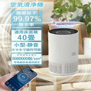 yԌ10%OFFN[|z C@  C40 ^ y ߓd Oi ȒP É ybg ԕ zR EL  vY}NX^[ ԕ΍ObY EC