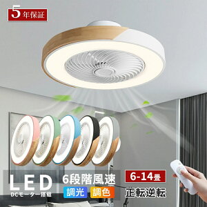 _5NԂ̐iۏ؁^r[TV[Ot@Cg LED V[Ot@ F k 8 10 14 F É y ʒ Cz 铔 VƖ 邢 ԐڏƖ 