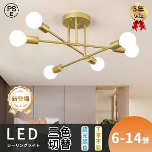 y5Nۏ+r[TzV[OCg led F VƖ ԐڏƖ 6 810 12 14 Rt 邢 rO dC Ɩ m ԃCg a Q rO Ce
