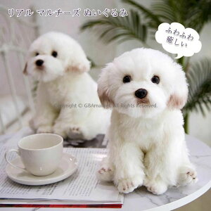 ^R ʂ Ԃ  o[Vu  ^R̂ʂ 傫  ^Rl` {΂ ʔ  \ω  ӂӂŖ q  j a