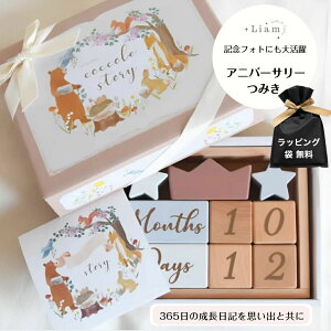 キッズテント 4点セット ボールプール 子供用テント ボールハウス トンネル折り畳み式 コンパクト 秘密基地 室内遊具 バスケットネット&収納バッグ付き 幼稚園 室内用 裏庭用 公園用