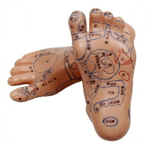 y10%N[|zfUC Lp ybgnEX LbgnEX xbh h[ nEX ی^ p^ ^ L xbh ~ g ӂӂ 킢 Q ۉ Q B 􂦂 p 