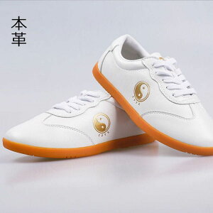 Ɍ V[Y Jt[V[Y {v v jpXj[J[ EFA  zCg  ̑ VRv  