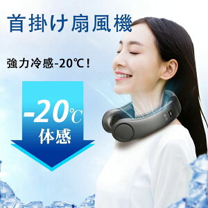 y2025ҏ?iŁIXGz|@ pv[g ^@ lbNN[[ @ usbt@ [dH y`F }[d y   gѐ@ 񂩂 LEDt }[d l