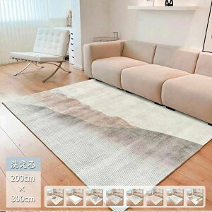 O J[ybg 􂦂 200×300cm k O}bg  킢 ~ I[V[Y ėp ~p O~ OJ[ybg zbgJ[ybgΉ EHbVu }bg 唻  Q