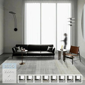 ラグ 200x300 洗える カーペット ラグマット 4.5畳 おしゃれ 北欧 ラグカーペット オールシーズン 夏用 冬用 ウォッシャブル 滑り止め 角型 大判 耐磨 高級感 寝室 雰囲気 子供部屋 高密度 シン