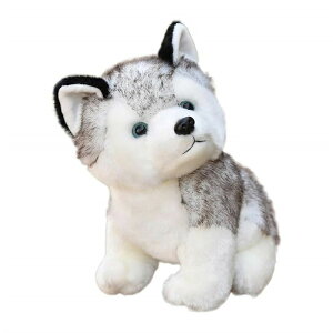 nXL[ ʂ Gh̖ A 킢 ̂ʂ p q Ƒ FB ގ ޏ a  v[g 30cm