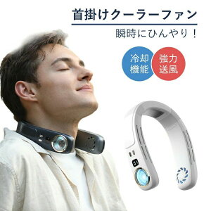 冷却プレート 携帯クーラー 熱中症対策 ダブルファン 静音 強力 軽量 接触冷感 羽なし ネッククーラー 首掛け扇風機