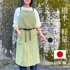 yiCGvzS̓{IJtF^CvGvƎdɏH~tv[gGvXbNMtgs[XΕNX}Xz[EFA`jbNhV