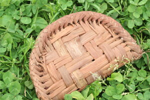 ̓ Mtg v[g RCP[X K R z@  obO ԑ @|[`z @ nhCh R obO ԑ҂ ܂Ԃǂ RԂǂ JSobO 