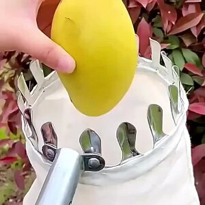 XeX t[csbLOfoCX 1_ S IW np S@\t ϋv^΂ ̓ J҂̓ Mtg