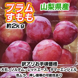 山梨県産 お楽しみプラム すもも 訳あり 約2kg 旬の品種ランダム 4~8玉×4パック 大石 ソルダム レッドエース サマーエンジェル