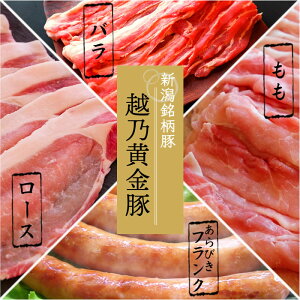 y   z    VY zT lCi4_ Zbg b ؃o ؃[X ؃ \[Z[W ؓ uh Zbg  񂹃O V