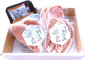 国産 豚肉 雪室熟成豚 ロース 厚切り 120g 6枚 & 和風おろしソース 200g ｜ 熟成肉 豚ロース ステーキ おかず 巣ごもり お取り寄せ お取り寄せグルメ おうちごはん お中元 お歳暮 ギフト BBQ こがね牧農舎 ピア万代 ピアBandai