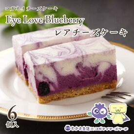 父の日 お中元 チーズケーキ わかさ生活 ビルベリー濃縮果汁使用【ブルーベリーレアチーズケーキ 6個入り】送料無料 ひとみ労わる アントシアニン 砂糖不使用 スイーツ 贈り物 内祝い お返し 人気 お取り寄せ 無添加 誕生日 プレゼント ギフト 個包装 北海道