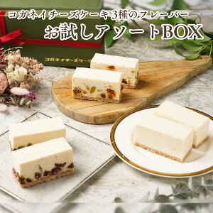 Ε NX}X `[YP[L 񂹁yRKlC`[YP[L3A\[gBOX@G߂̏i2zY XC[c LO aP[L j 蕨 ᓜ sgp  