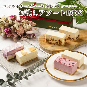 Ε NX}X `[YP[L 񂹁yRKlC`[YP[L6A\[gBOXzY XC[c LO a P[L j  蕨 ᓜ N sgp  Ⓚ