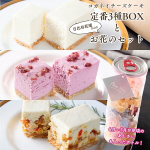 hV̓ `[YP[Ly3ƓJԒd̂Ԃ̃Zbgz Mtg a Y XC[c LO 蕨 ᓜ J{ sgp  vU[ht[