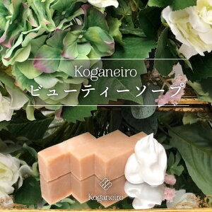 [Koganeiror[eB[\[vgCA17g 3]ϐΌ  Ags[ q jLr ێ tXYNC VNveC R[hvZX@ Lr\ v`Mtg  PM2.5 ԕ 