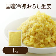 【冷凍便】 【冷凍品以外との同梱不可】 国産冷凍おろし生姜 1kg 【業務用】 ペースト 調味料 薬味 生姜 …