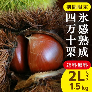 yz I \Xn l\I1.5kg ysz Y