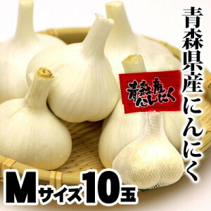 yz XY ɂɂ M1P10 XY nzCg ɂɂ ɂɂ\ 6 Y