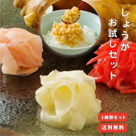 【送料無料】 生姜お試しセット 梅 【代引不可】 生姜 国産 紅しょうが 寿しがり 甘酢平切り ふりかけ 万能調味料 お取り寄せ おためしセット