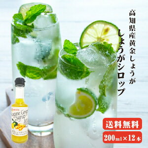 yz 傤VbvZbg 200ml×12 mY WW[ WW[Vbv IVbv 傤Vbv Y F I 傤 VEK Y