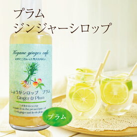 【訳あり】【賞味期限：2026/6/4】【送料発生】 フルーツジンジャーシロップ(プラム) 200ml 高知県産 ジンジャー ジンジャーシロップ 生姜シロップ しょうがシロップ 無添加 無着色 生姜 しょうが ショウガ 国産