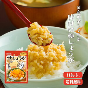 yz TNTNtɂ傤 110g×6 ӂ肩 т̂ |傤 I \ I 傤 VEK Y