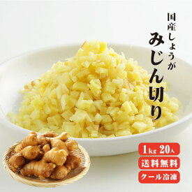 【送料無料】 【冷凍便】 【他商品同梱不可】 国産冷凍生姜 みじん 1kg×20袋 【業務用】 【まとめ買い】 みじん 刻み 調味料 薬味 生姜 しょうが ショウガ 国産