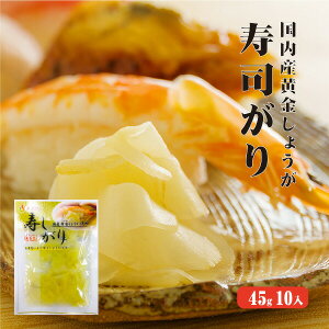 yz YIgp iK 45g×10 yTVŏЉI NELgTHE z Ð| K XCX F ۑ sgp I 傤 VEK Y