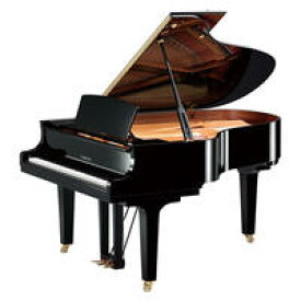 【おこのみレンタル】ヤマハ　C5X＜中古再調整品/新品同様＞