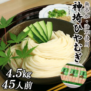Ђނ ┞ 15ܓ 4.5kg 45lO _Ђނ p Y sgp 䒆  Yn   ۑH Mtg hV̓ 蕨 { c  Ε j 