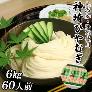 Ђނ ┞ 20ܓ 6kg 60lO _Ђނ p Y sgp 䒆  Yn   ۑH Mtg hV̓ 蕨 { c  Ε j 