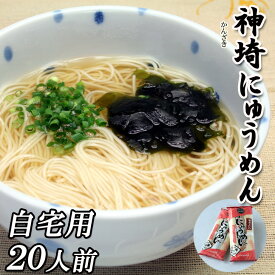 自宅用 神埼にゅうめん10袋 20人前 スープ、薬味付き