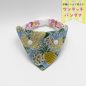 ypCibṽo_iiCgu[jz ֗po_i Lp ւɃvX p ^b`o_i nhCh I[_[Ch ˂ ˂ ybgpi L