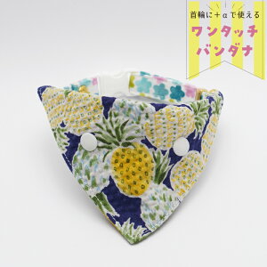 ypCibṽo_iilCr[jz ֗po_i Lp ւɃvX p ^b`o_i nhCh I[_[Ch ˂ ˂ ybgpi L