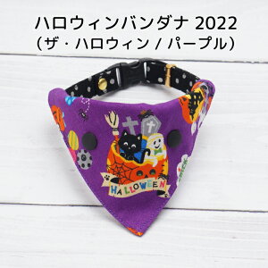 ynEBo_i2022EUEnEBEp[vz ֗po_i Lp ւɃvX p ^b`o_i nhCh I[_[Ch ˂ ˂ ybgpi L n